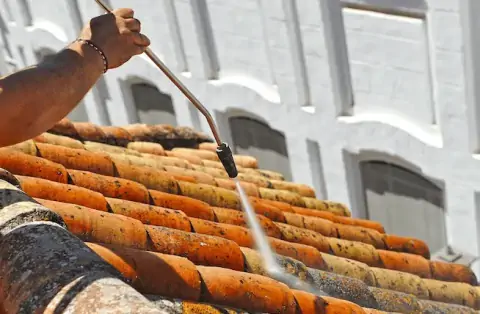 Nettoyage de toitures - Alix